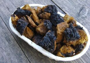 Chaga birch mushroom